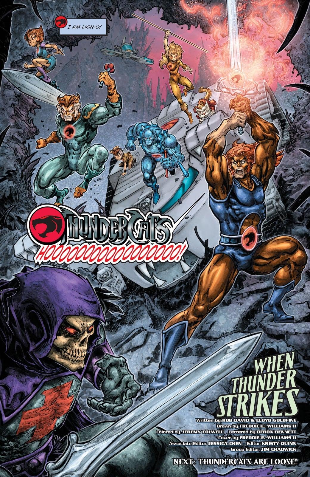 He-Man and ThunderCats
