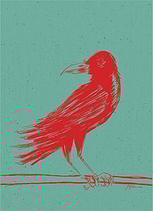 The Collected Essex County – Limited Edition