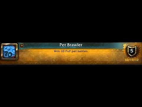 WoW Pet Brawler Achievement