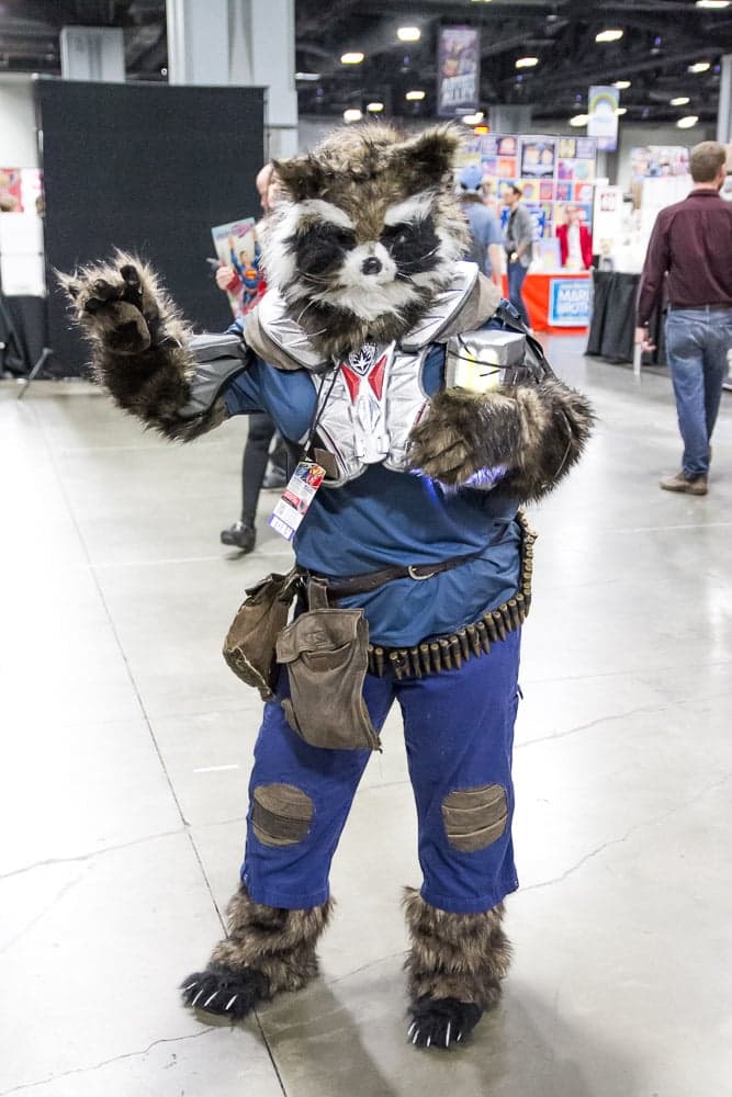 Rocket Racoon
