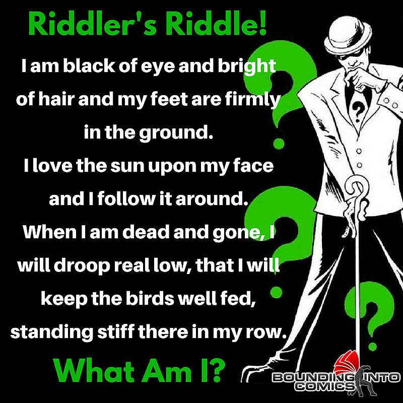 Riddler's Riddle