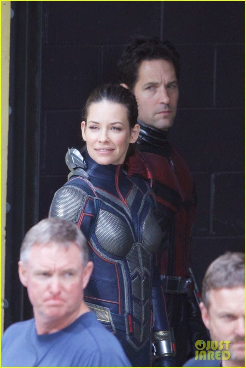 'Ant-Man & the Wasp' 