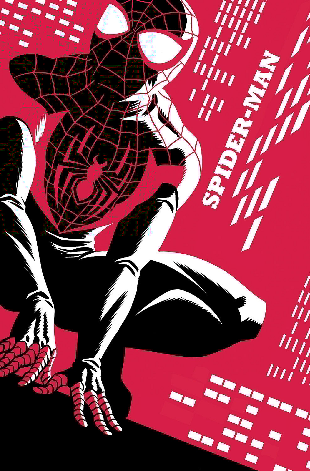 Spider-Man #1 Cover