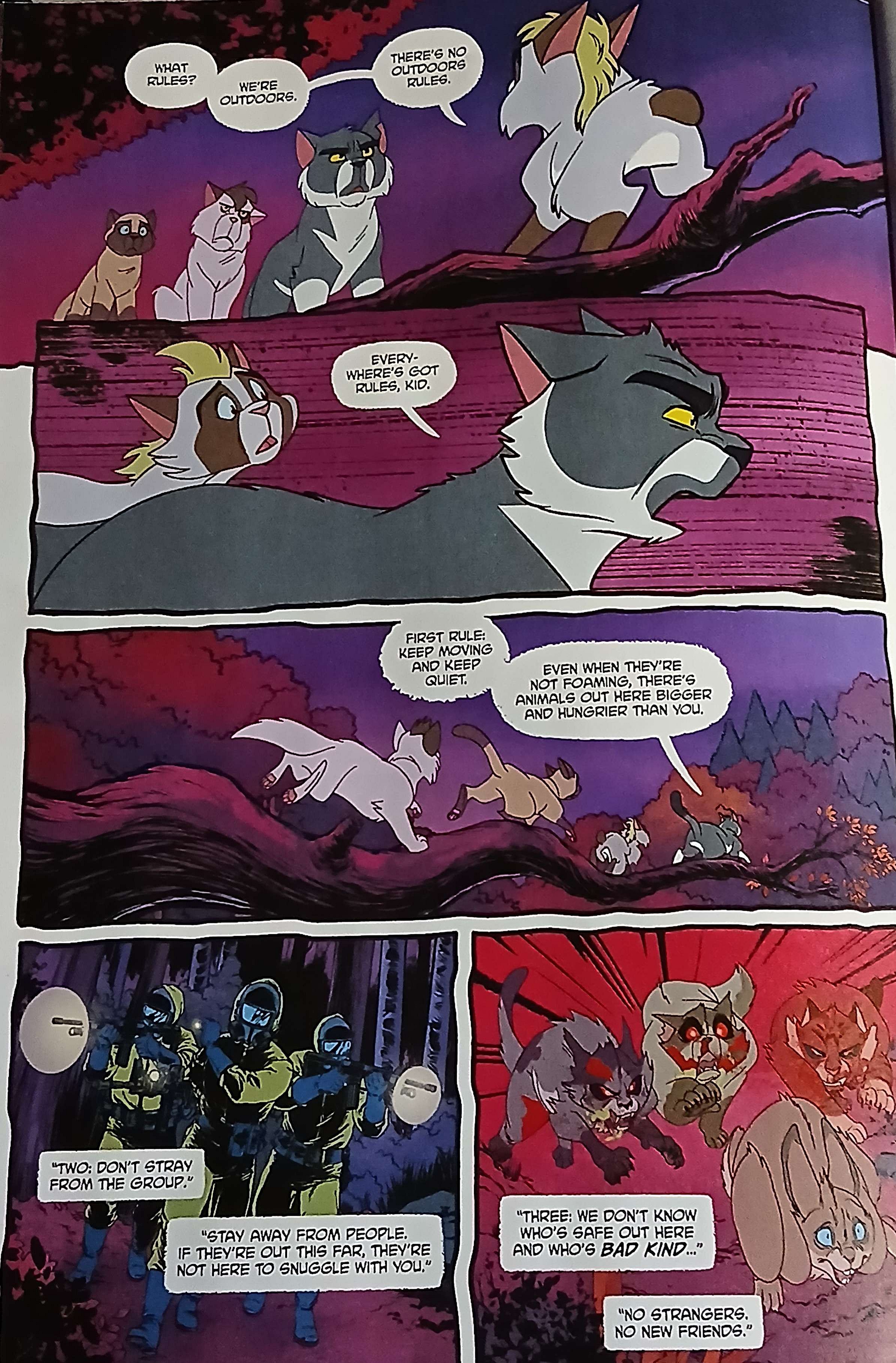 Laying down the rules