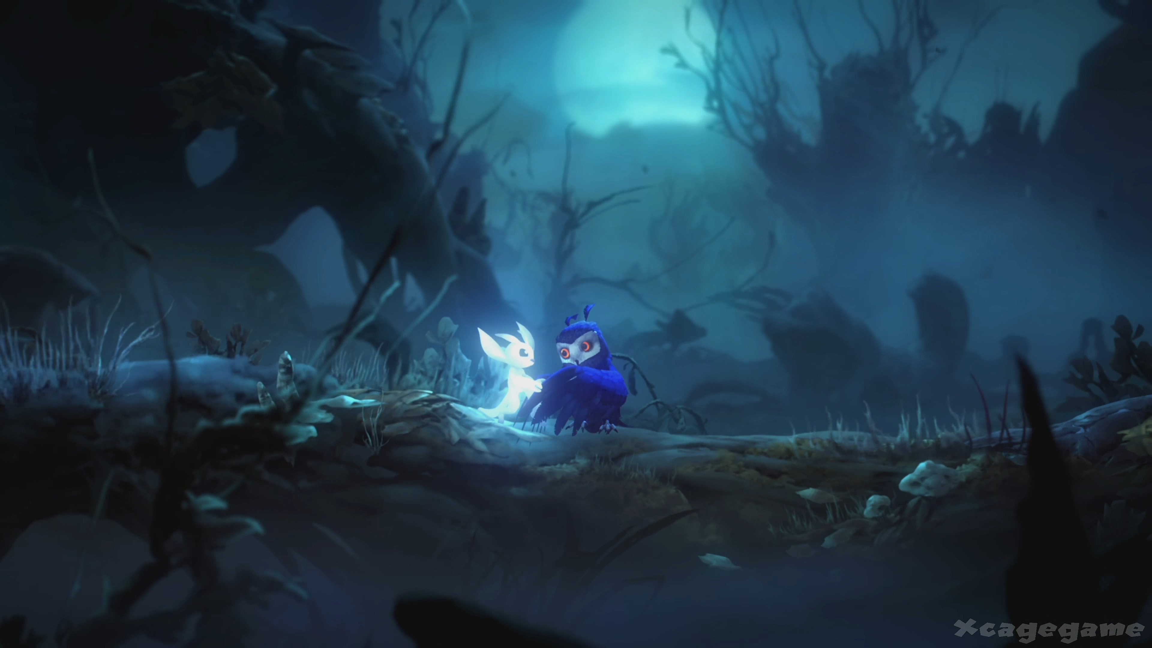 Ori (Andrew Lackey) and Ku (Jennifer Losi) reunite in Ori and the Will of the Wisps (2020), Moon Studios