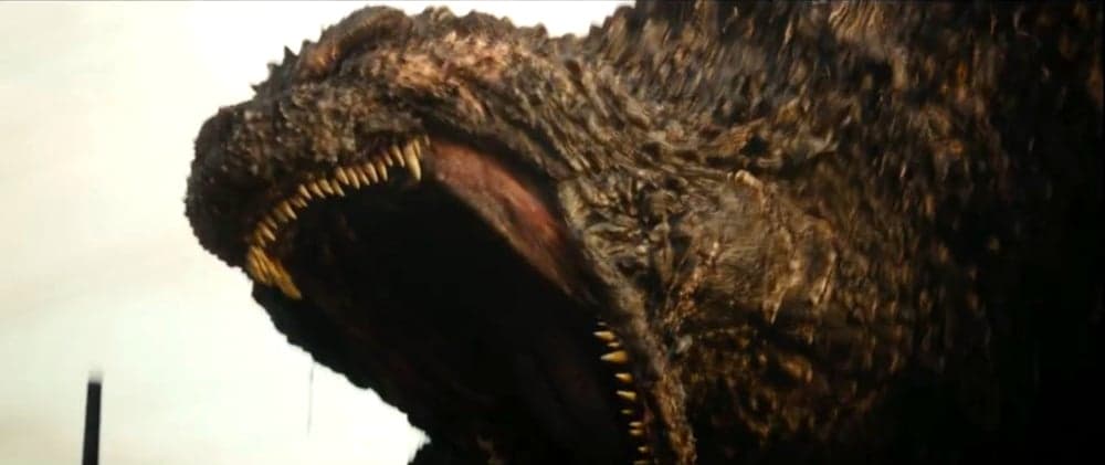Traditional roar-m1