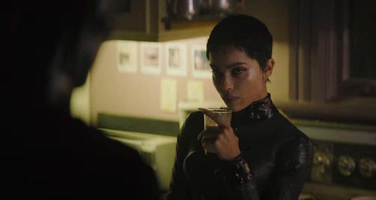 Stray Catwoman