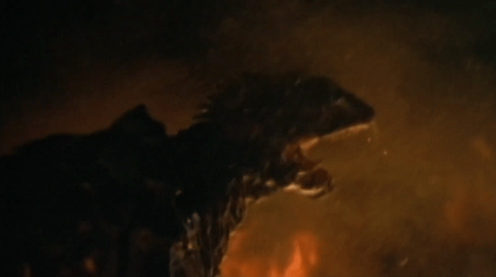 Gamera in the rain