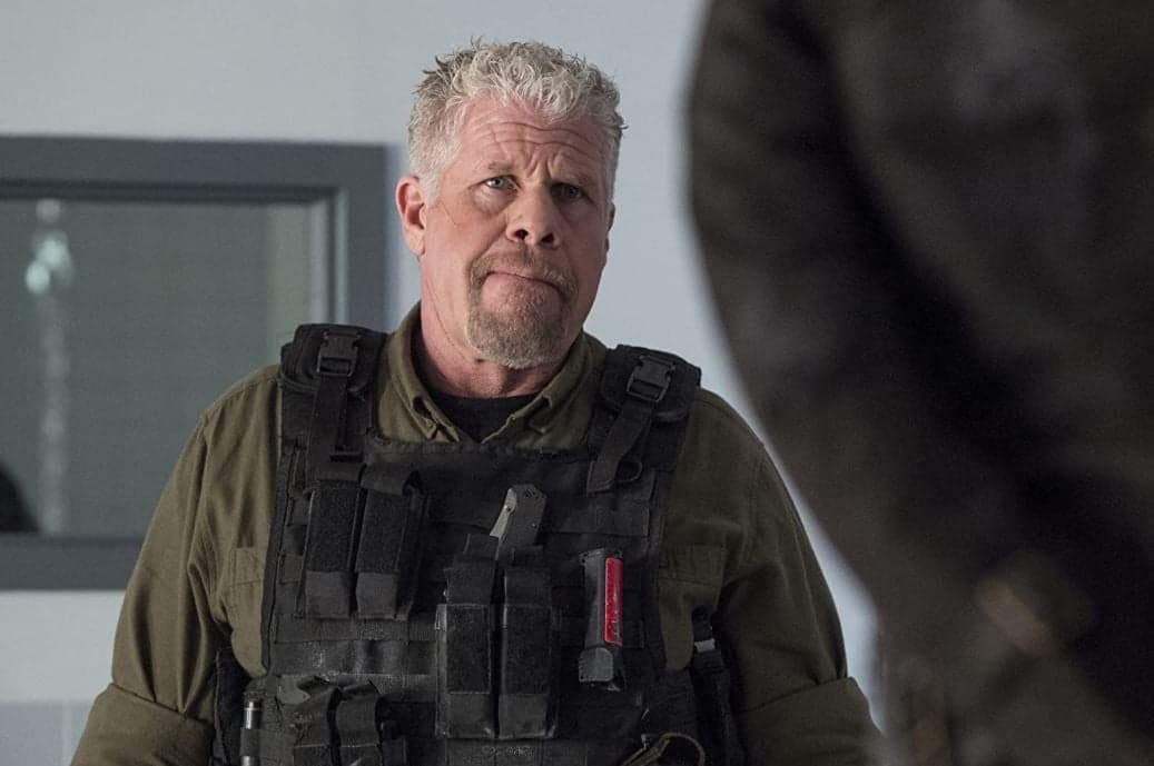 Ron Perlman