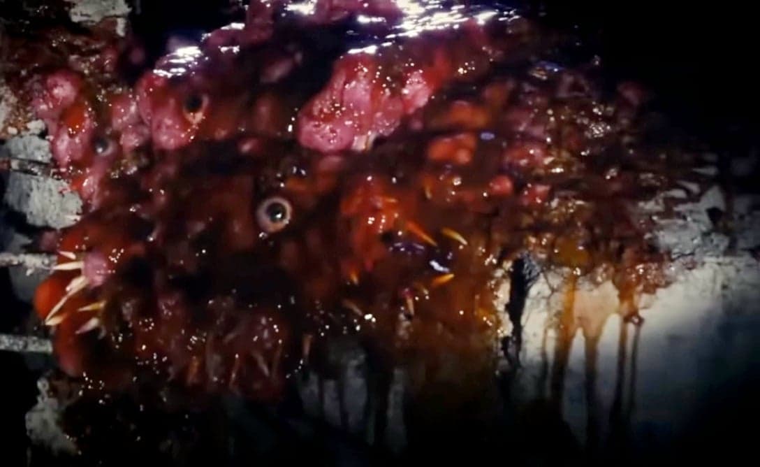 Blood vomiting 