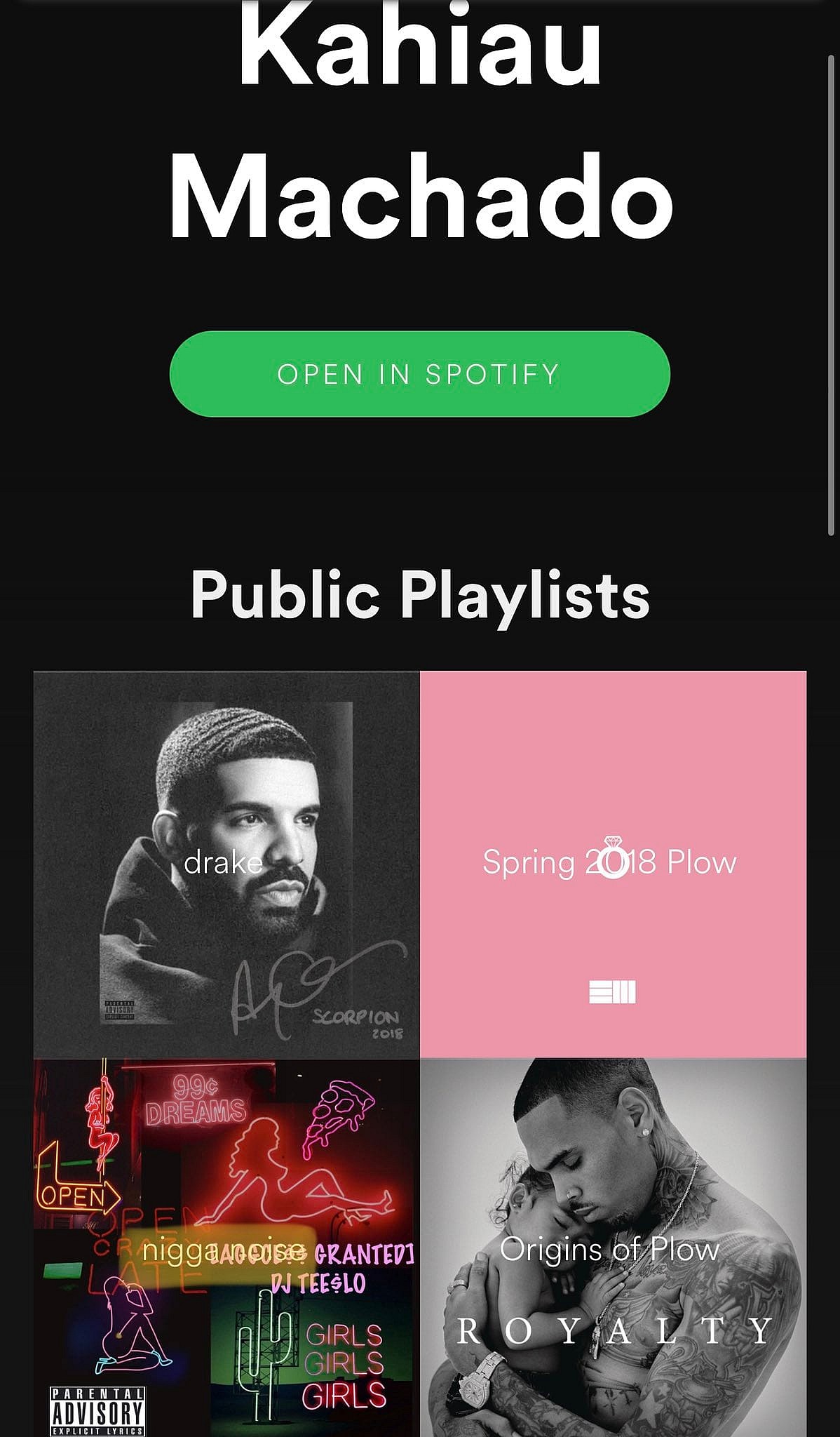 A playlist created Kahiau Machado named 'n****a noise' drew the ire of Disney's activists fans