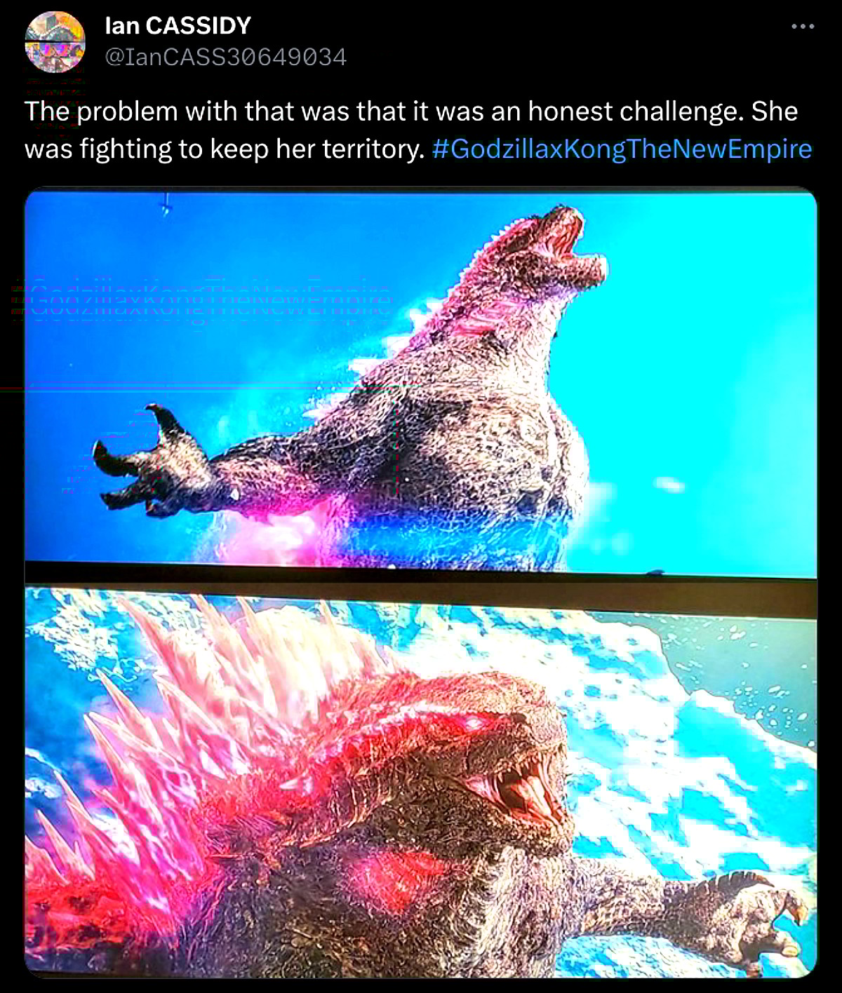 @IanCass30649034 alleges Shimo was trying to keep territory.