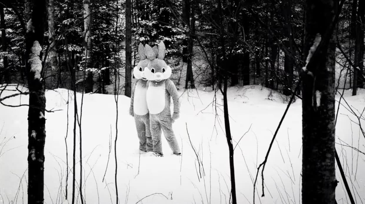 Two bunnies among beavers