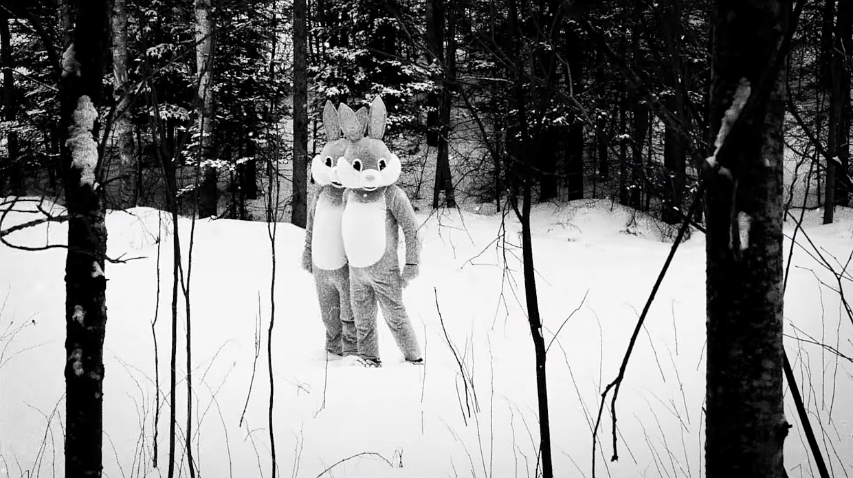 Two bunnies among beavers