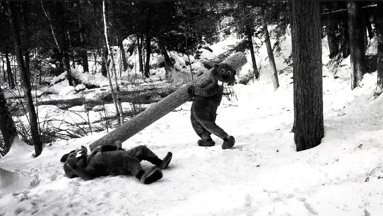 Two beavers out of hundreds and a log