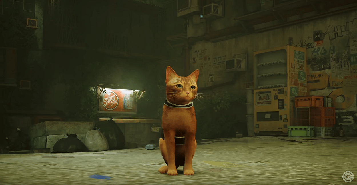 Stray Gameplay, Stray Gameplay Trailer | Sony State of Play June 2022, Gamespot, via YouTube