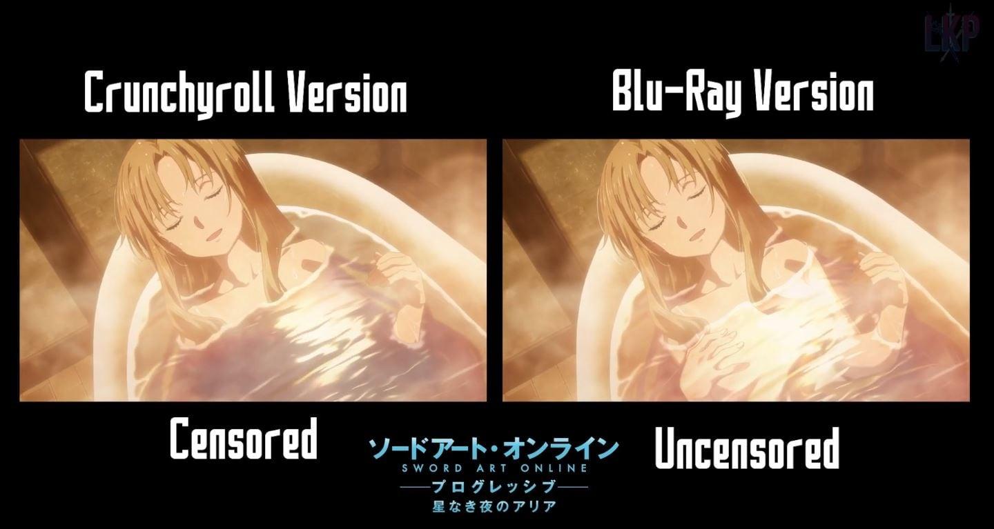 SAO Censor 6