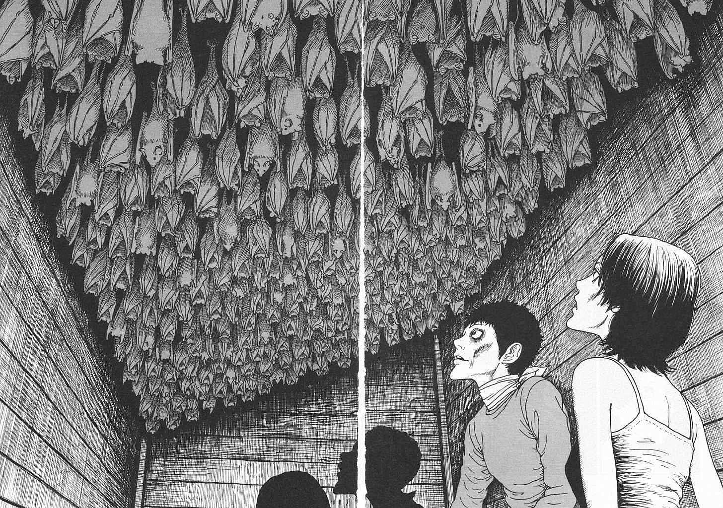 Vampire Bat Cave