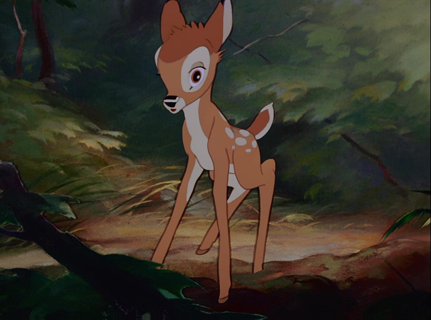 bambi