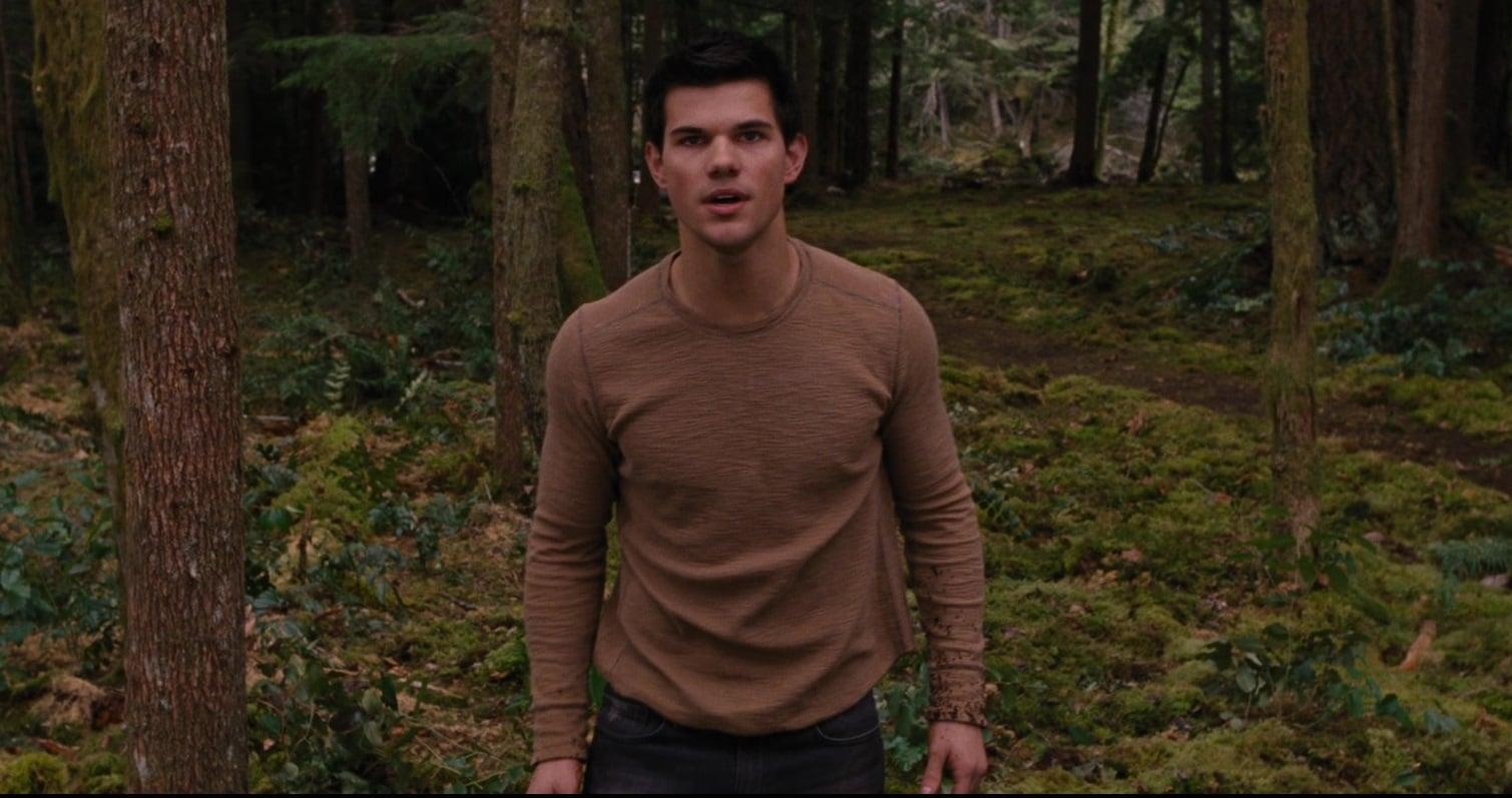 Taylor Lautner