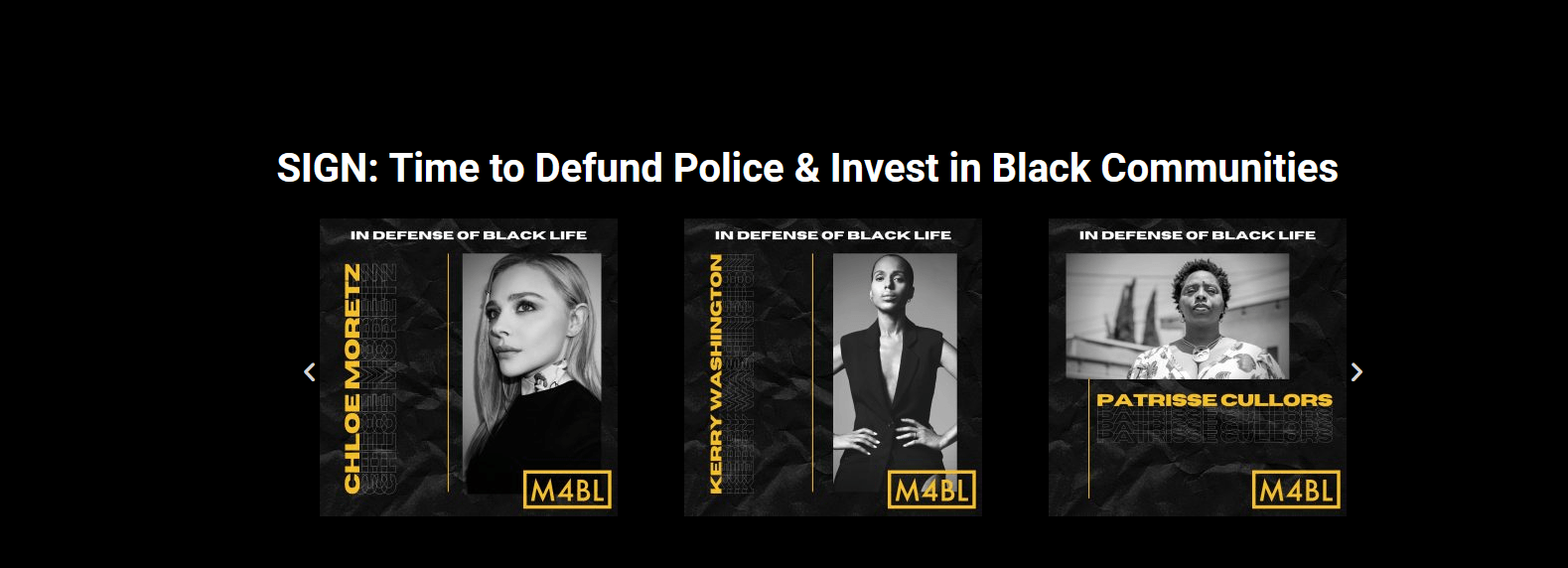 BLM petition website