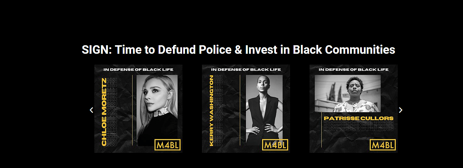 BLM petition website