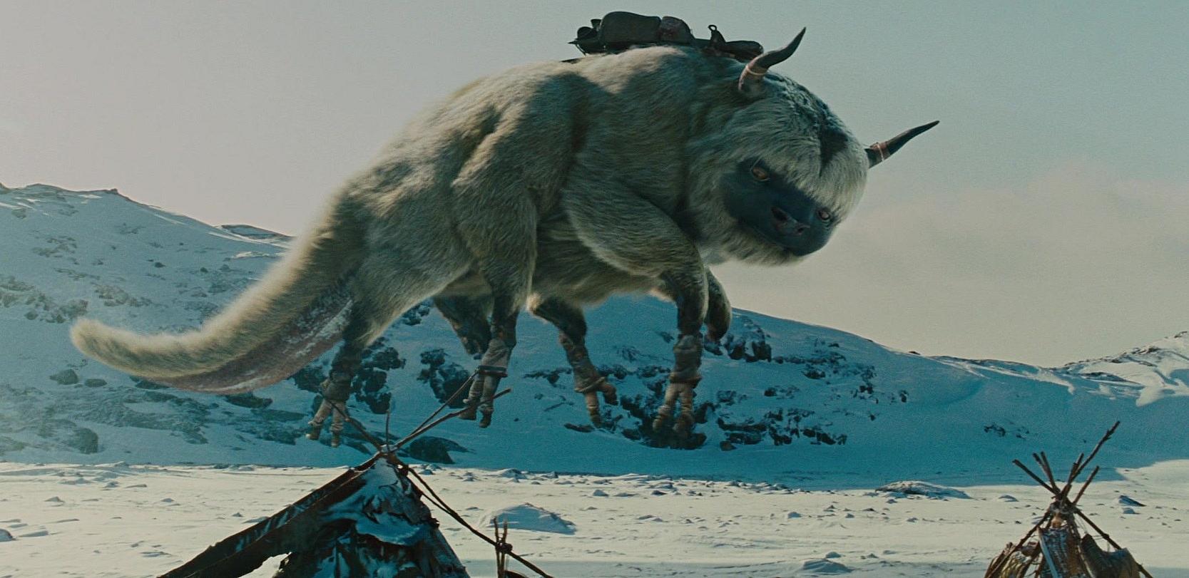 appa