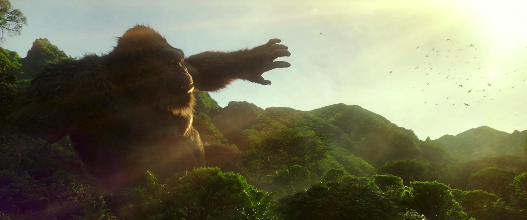 Sun of Kong