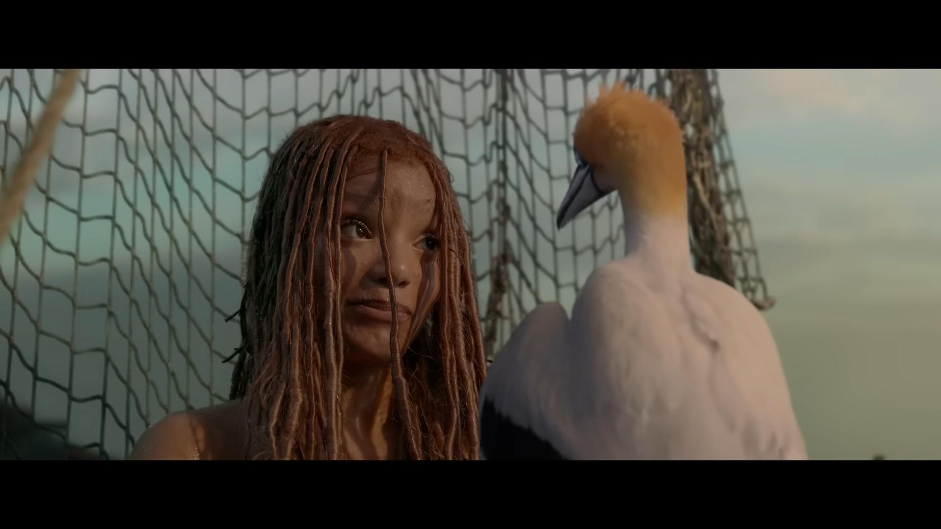 Ariel (Halle Bailey) speaks with Scuttle (Akwafina) after gaining her legs in The Little Mermaid (2023), Disney