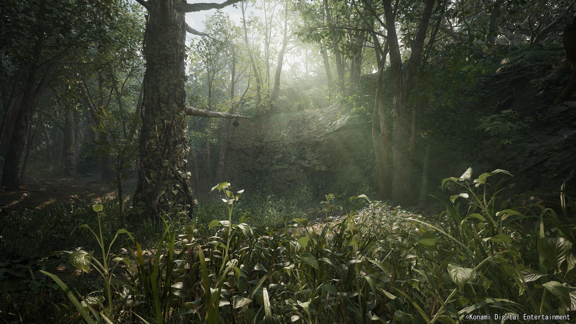 Light passes through the jungle trees in Metal Gear Solid Δ: Snake Eater (TBA), Konami