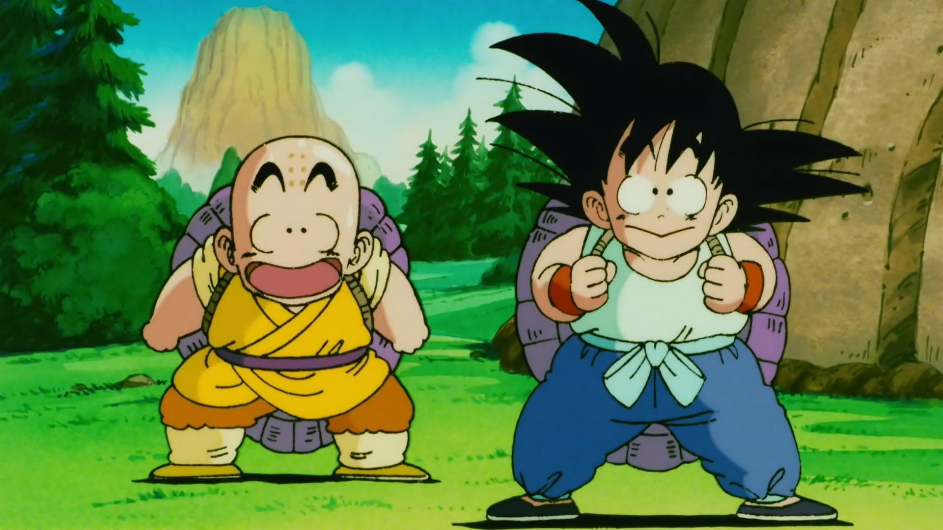 goku krillin