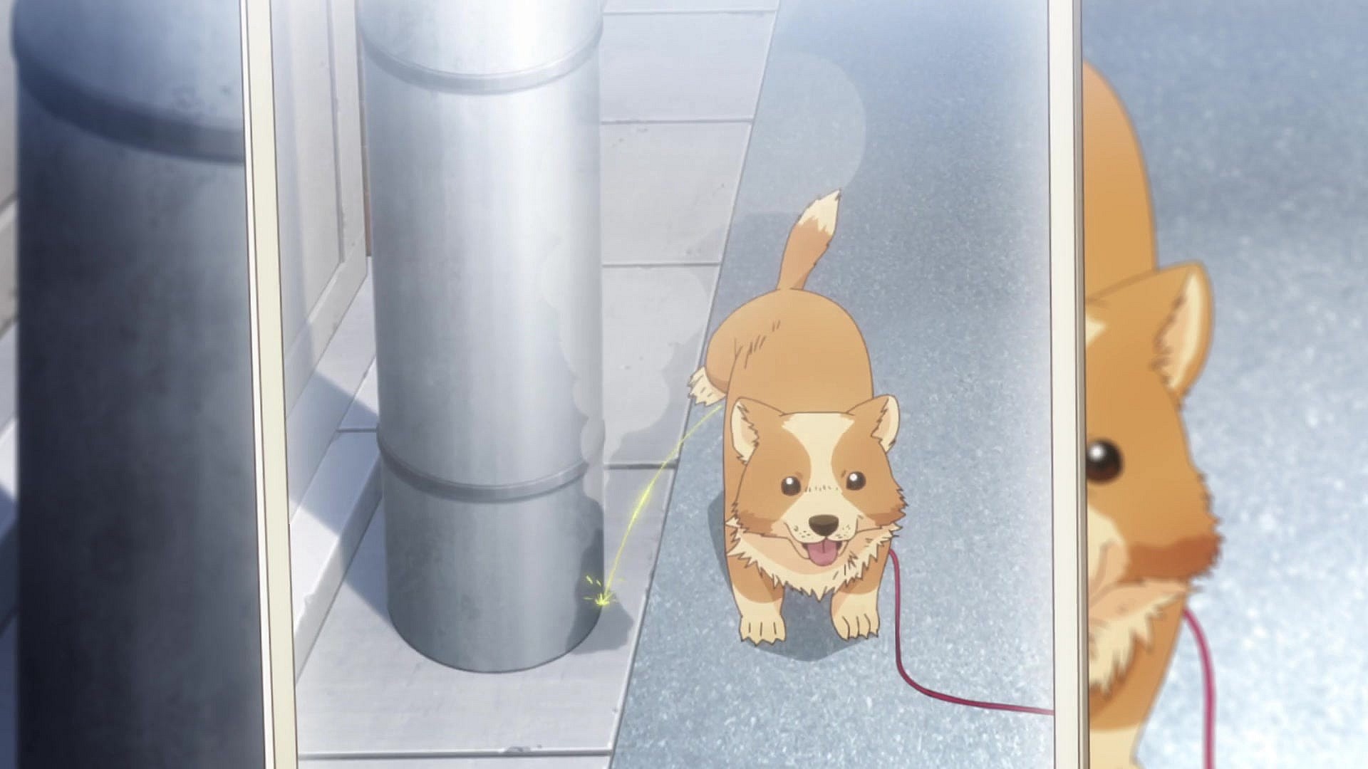 Karen Inukai (Saya Aizawa) takes a snap of Pochita (Shūichirō Umeda) using the restroom in My Life as Inukai-san's Dog Episode 2 "Walkies." (2023), Quad via HIDIVE