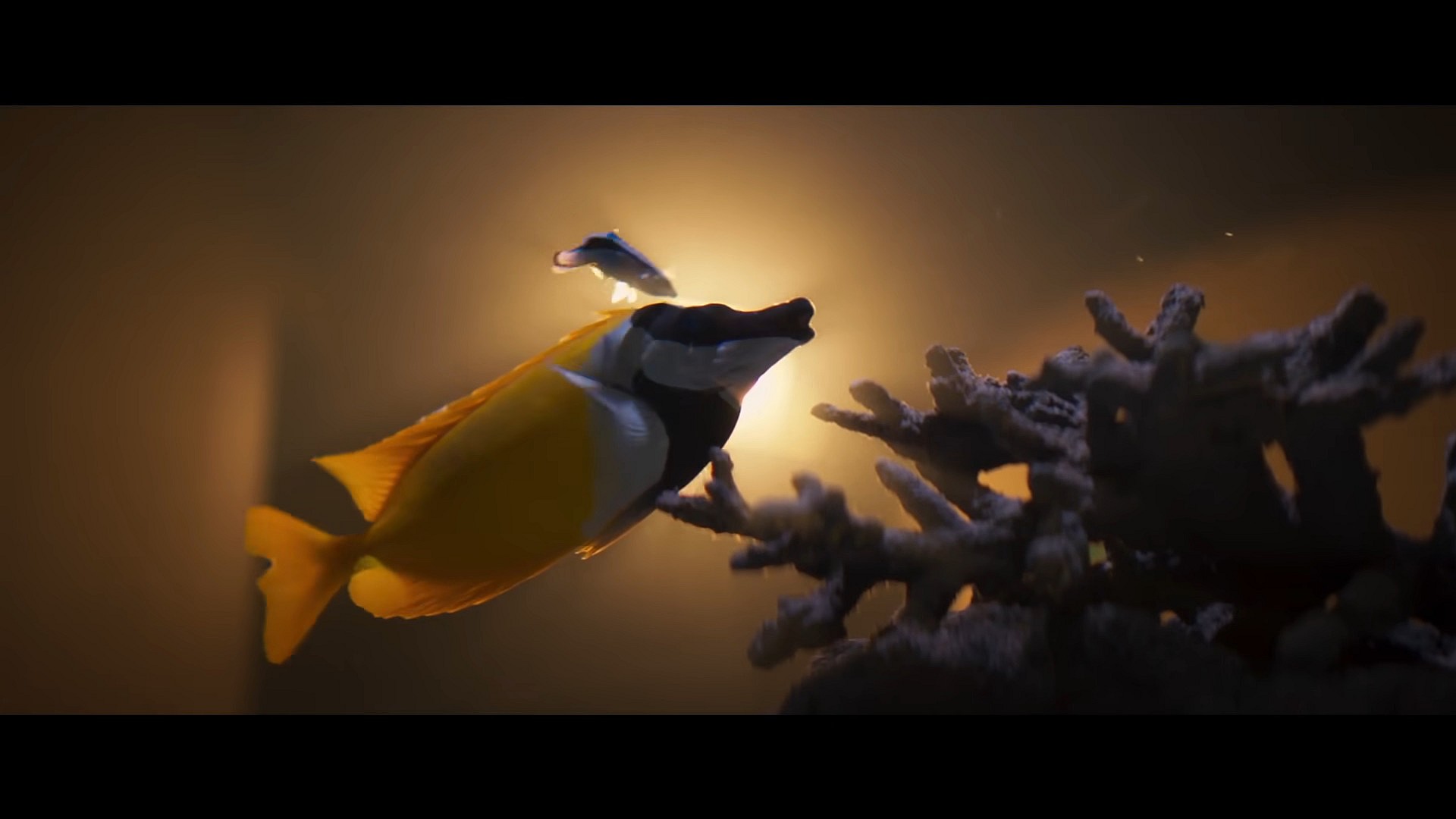 A Moorish Idol appears in Inside (2023), Focus Features