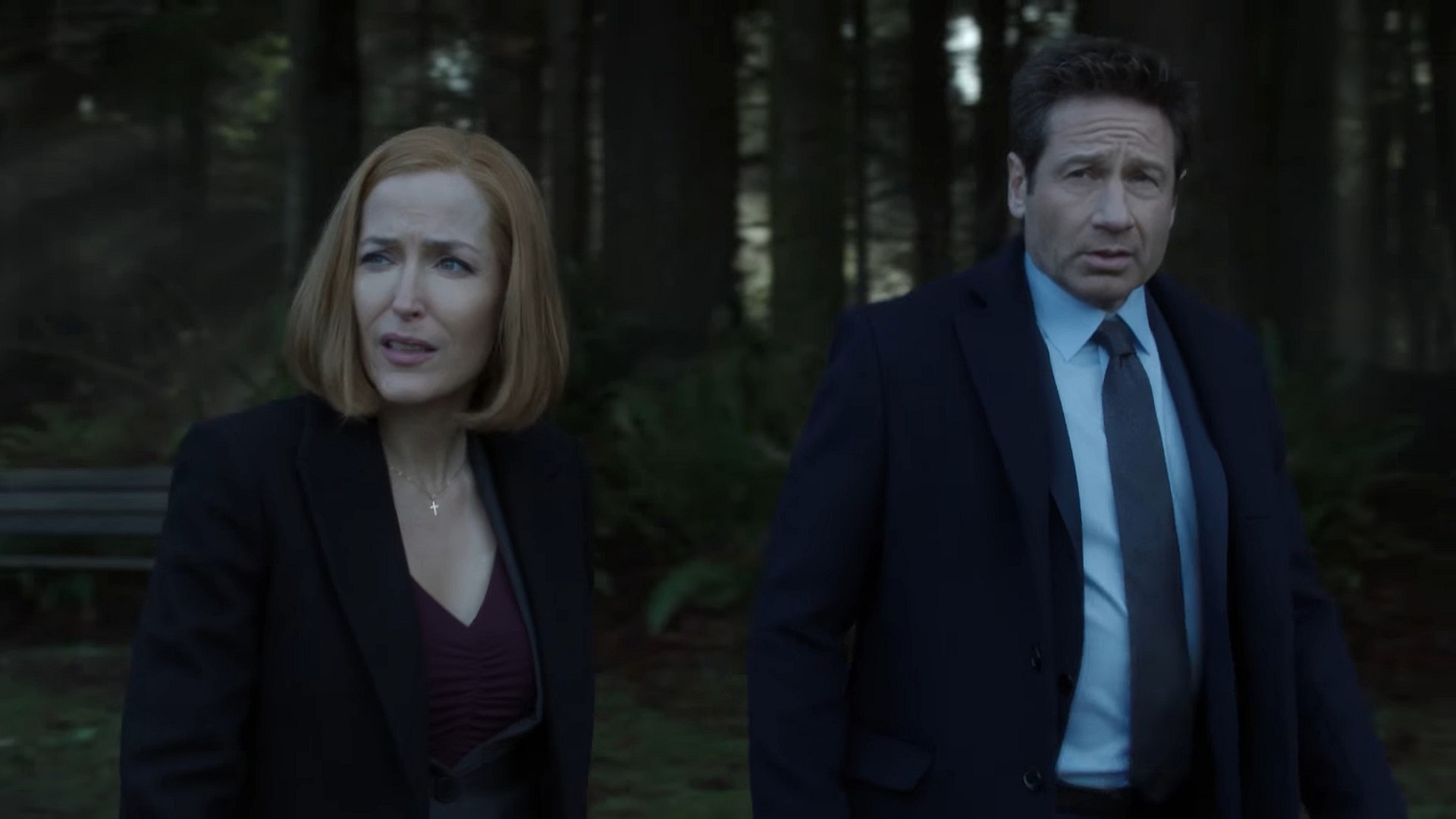 Agent Scully (Gillian Anderson) and Agent Mulder (David Duchovny) make their way to Connecticut in The X-Files Season 11 Episode 8 "Familiar" (2018), 20th Century Studios