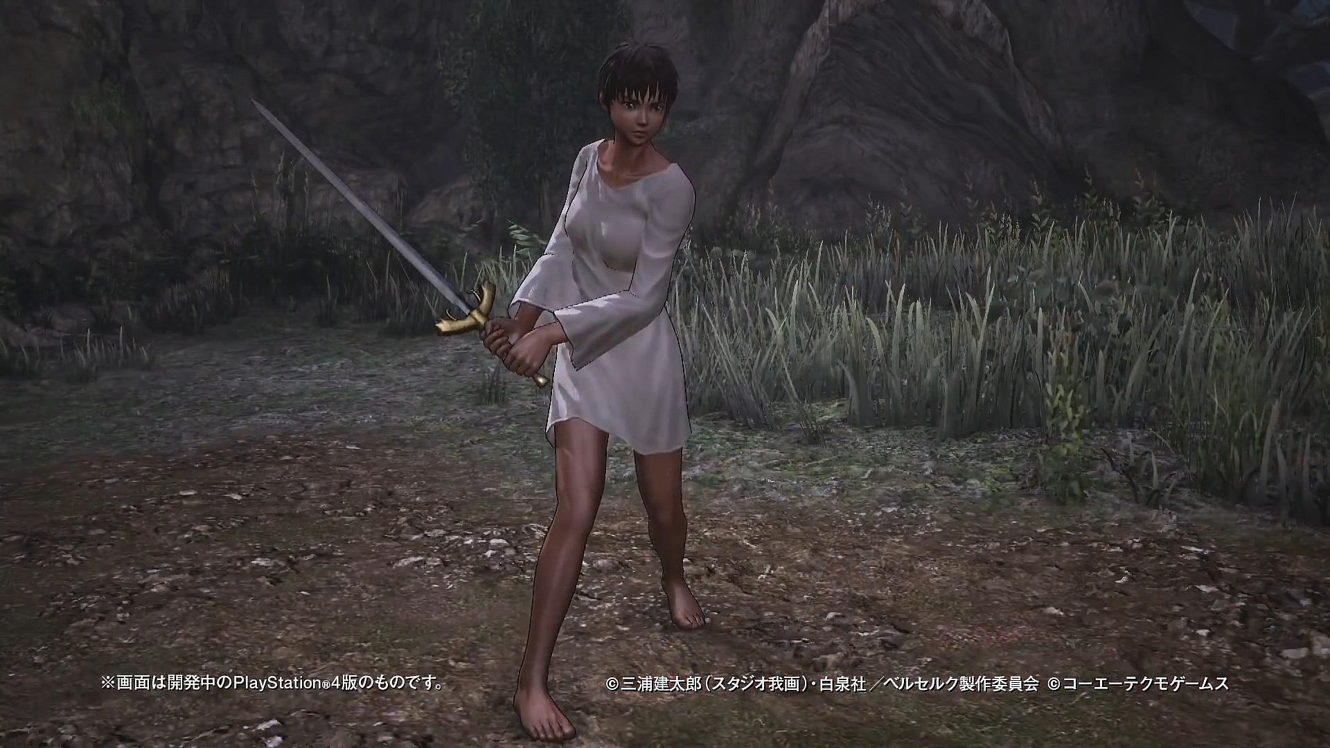 Casca shows off her JP-exclusive 'wet t-shirt' costume in Berserk and the Band of the Hawk (2016), Koei Tecmo