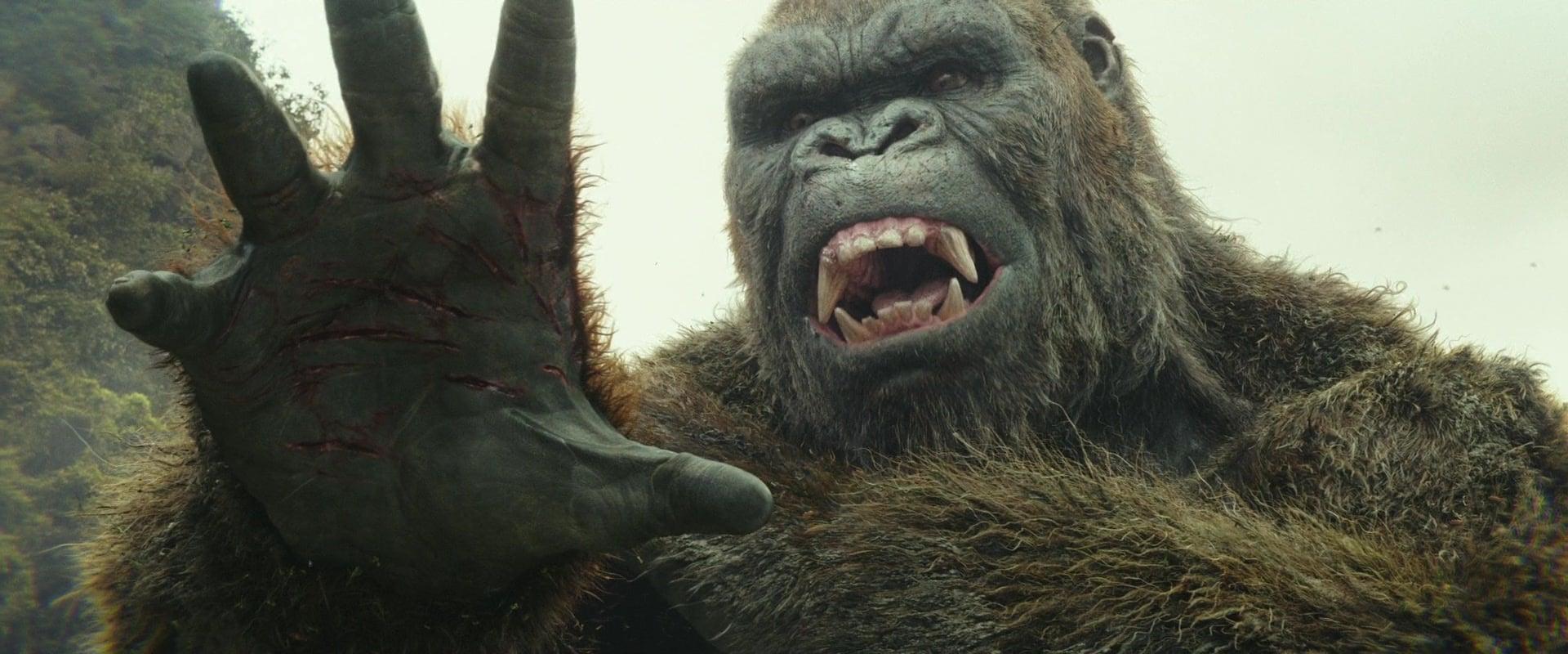 Kong-talk to the hand