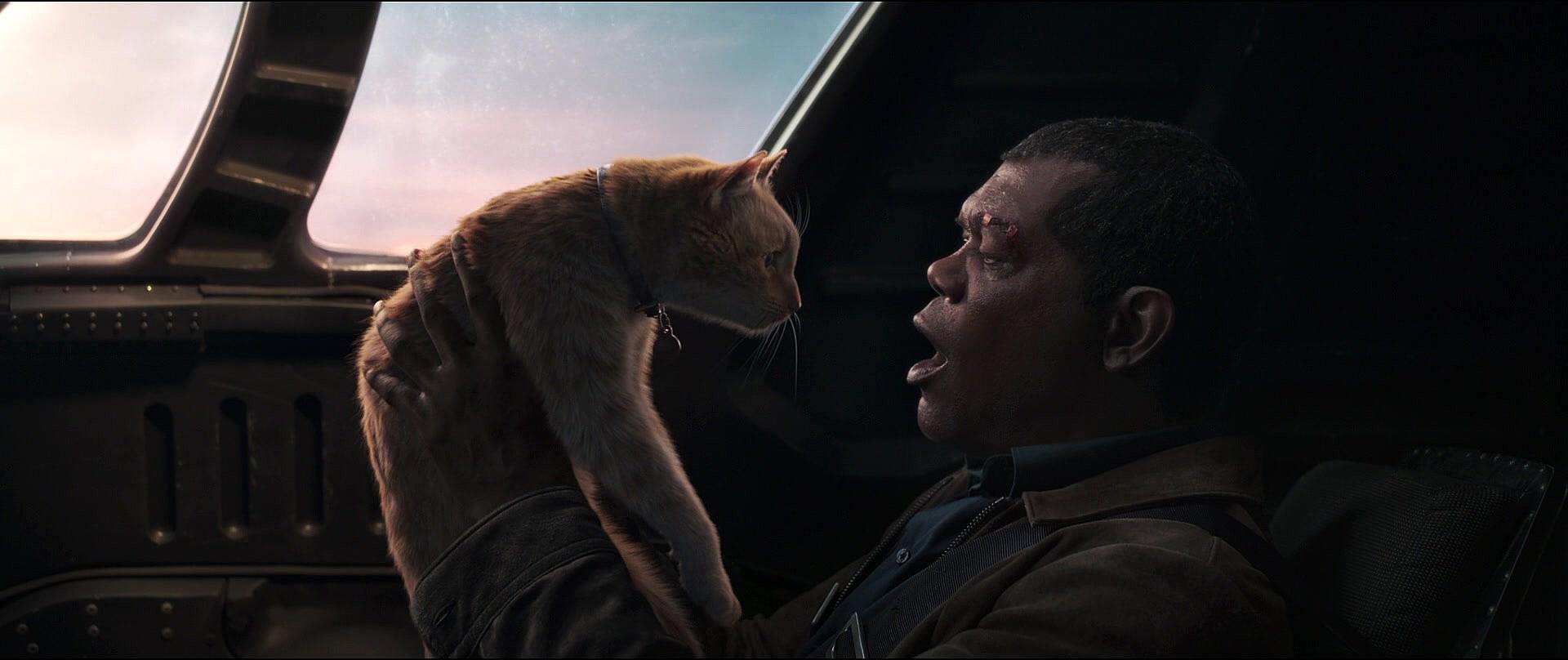 Nick Fury (Samuel L. Jackson) seconds away from losing his eye to Goose the Cat in Captain Marvel
