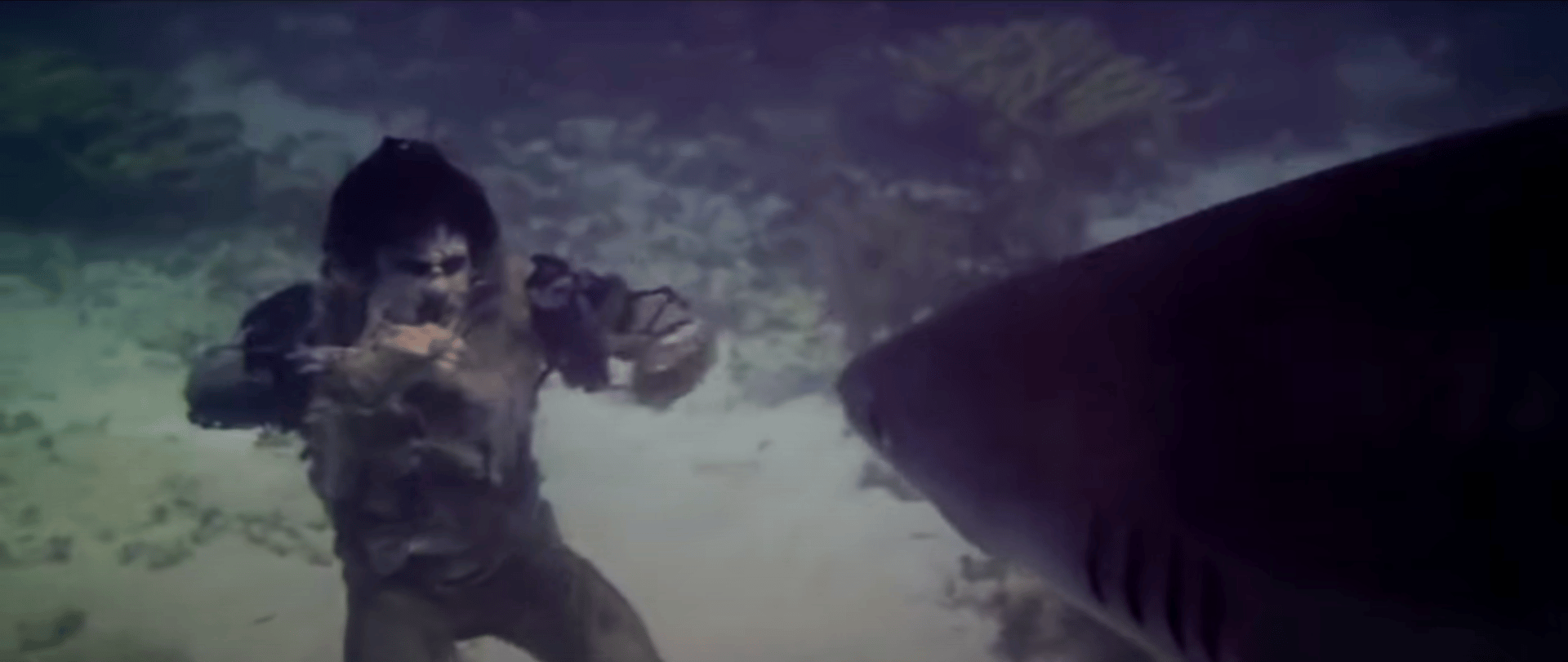 Zombie shark