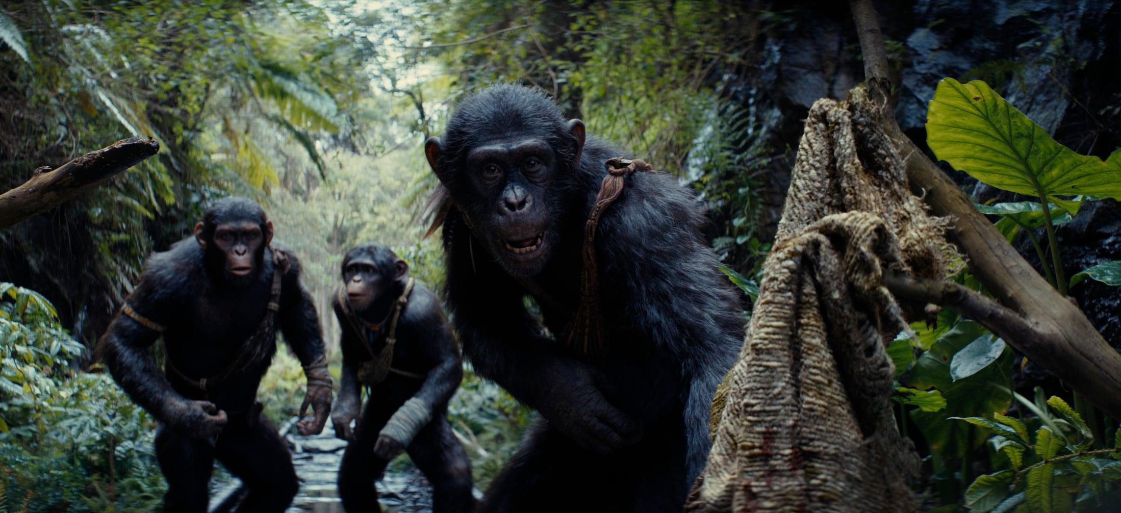 (L-R): Noa (played by Owen Teague), Soona (played by Lydia Peckham), and Anaya (played by Travis Jeffery) in 20th Century Studios' KINGDOM OF THE PLANET OF THE APES. Photo courtesy of 20th Century Studios. © 2024 20th Century Studios. All Rights Reserved.
