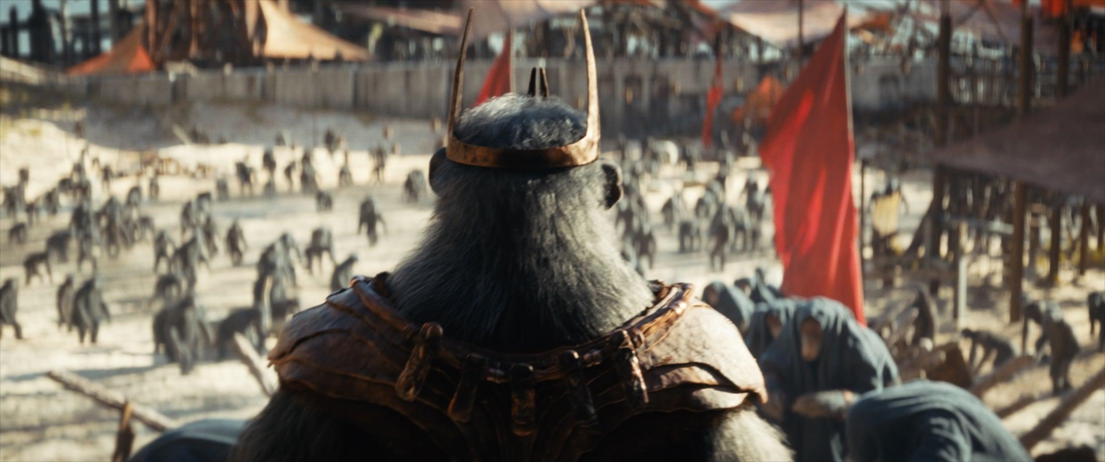 Proximus Caesar (played by Kevin Durand) in 20th Century Studios' KINGDOM OF THE PLANET OF THE APES. Photo courtesy of 20th Century Studios. © 2024 20th Century Studios. All Rights Reserved.