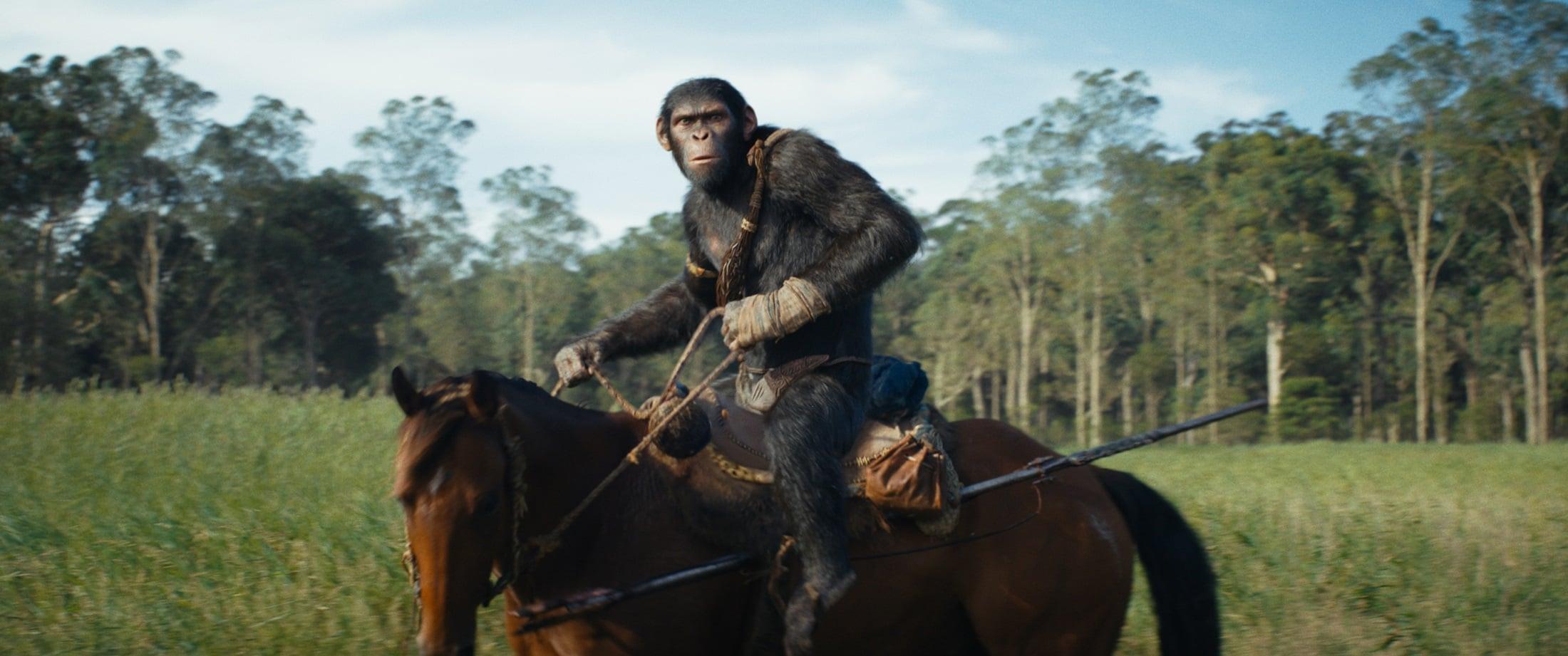 Noa (played by Owen Teague) in 20th Century Studios' KINGDOM OF THE PLANET OF THE APES. Photo courtesy of 20th Century Studios. © 2024 20th Century Studios. All Rights Reserved.