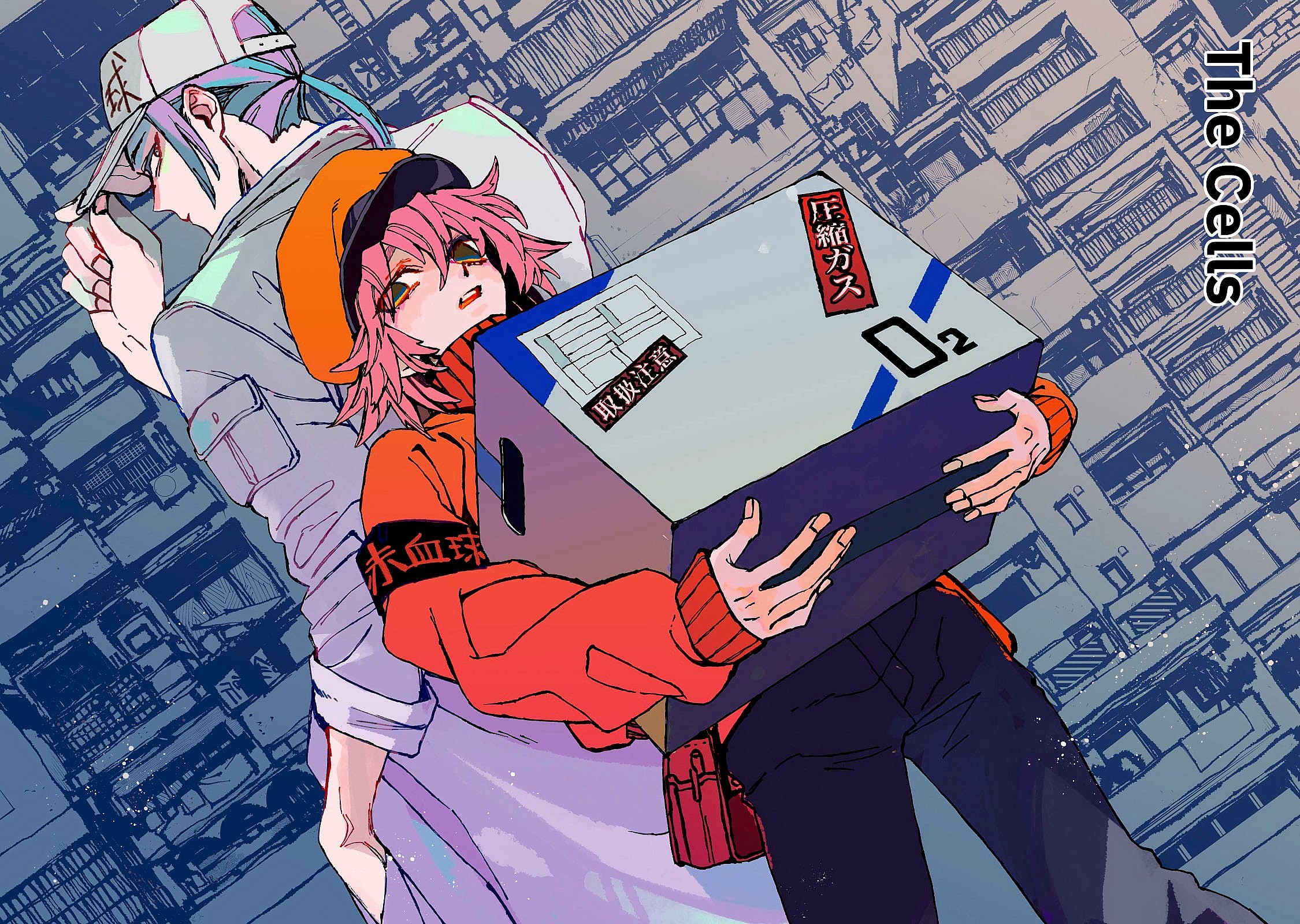 red and white blood cell