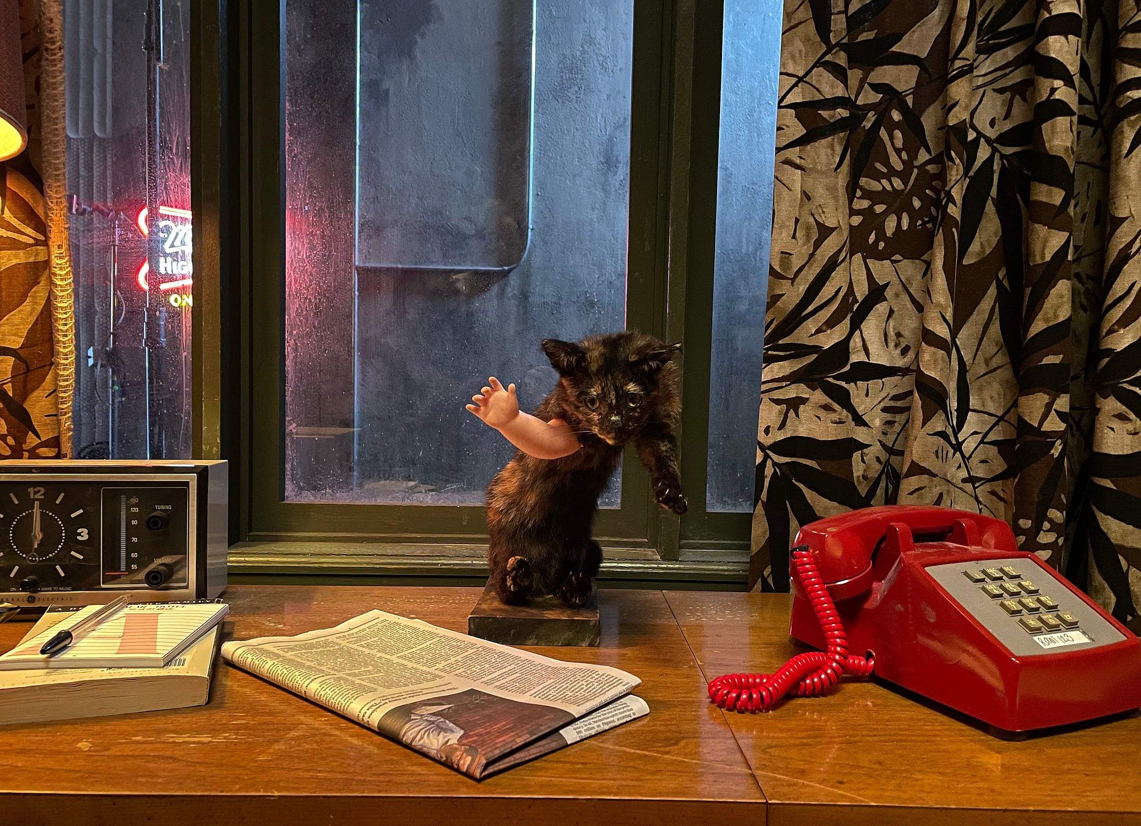 Kollmick's dead cat Ada that he uses for counseling in Tolga Karaçelik's dark comedy The Shallow Tale of a Writer Who Decided to Write About a Serial Killer (2024), Cinegryphon Entertainment