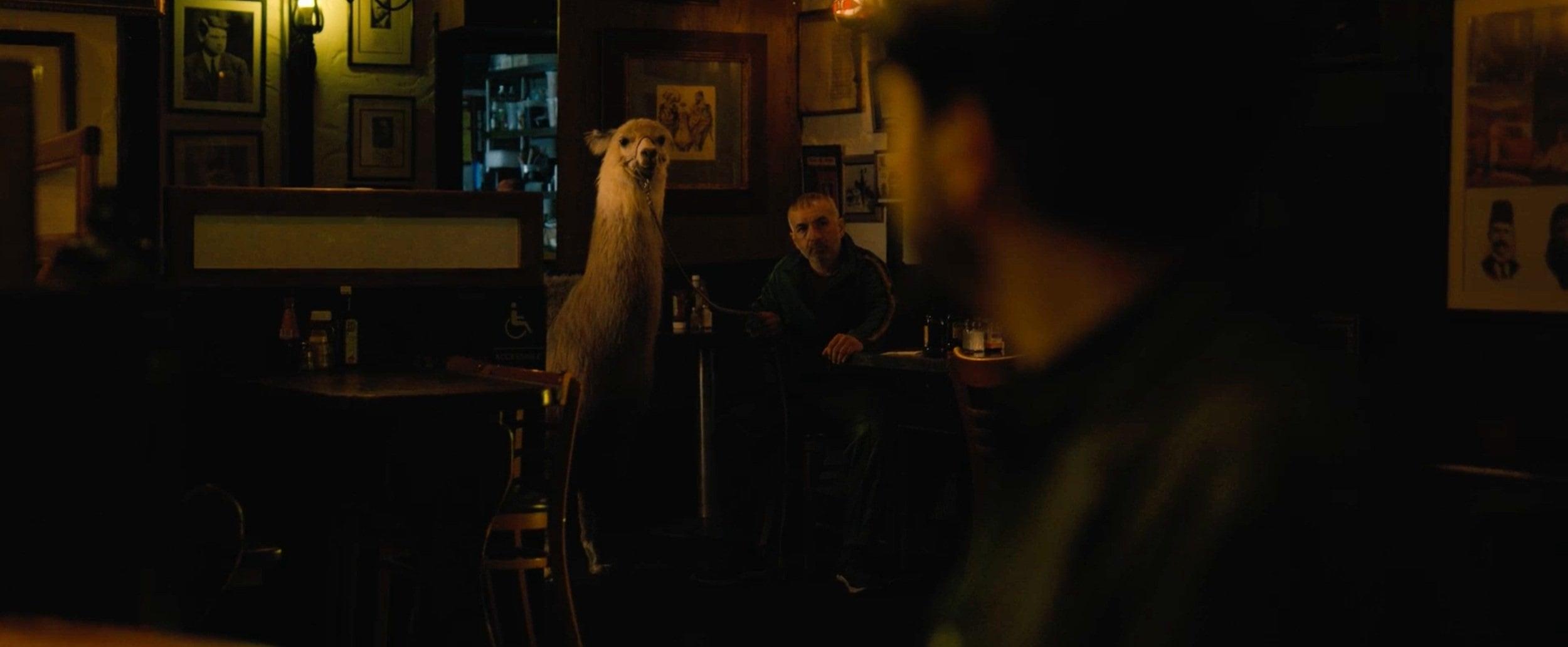 A production still from Tolga Karaçelik's dark comedy The Shallow Tale of a Writer Who Decided to Write About a Serial Killer (2024), Cinegryphon Entertainment