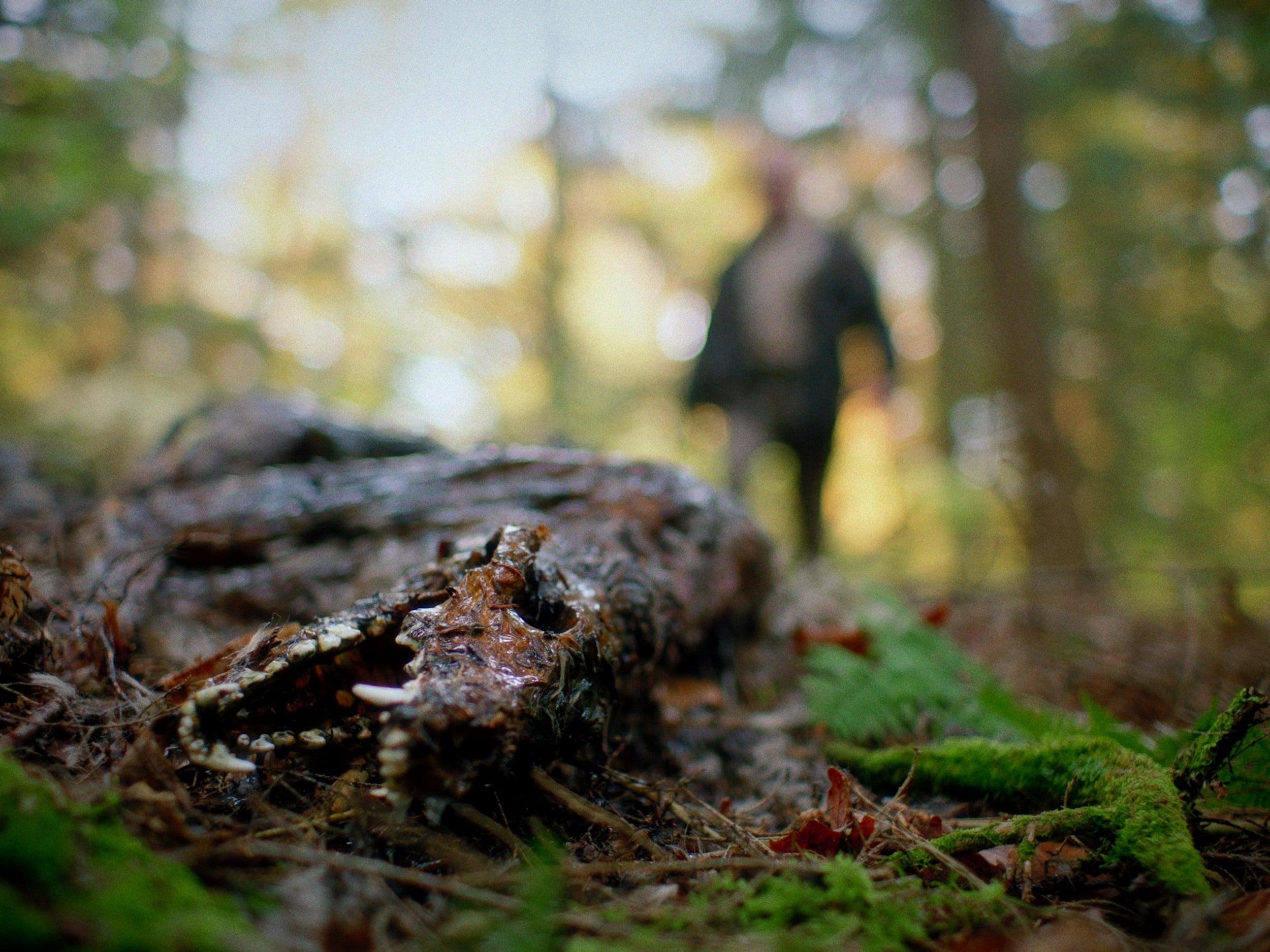 Ry Barrett as “Johnny” in Chris Nash’s IN A VIOLENT NATURE. Courtesy of Pierce Derks. An IFC Films & Shudder Release.