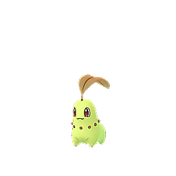 Shiny Chikorita