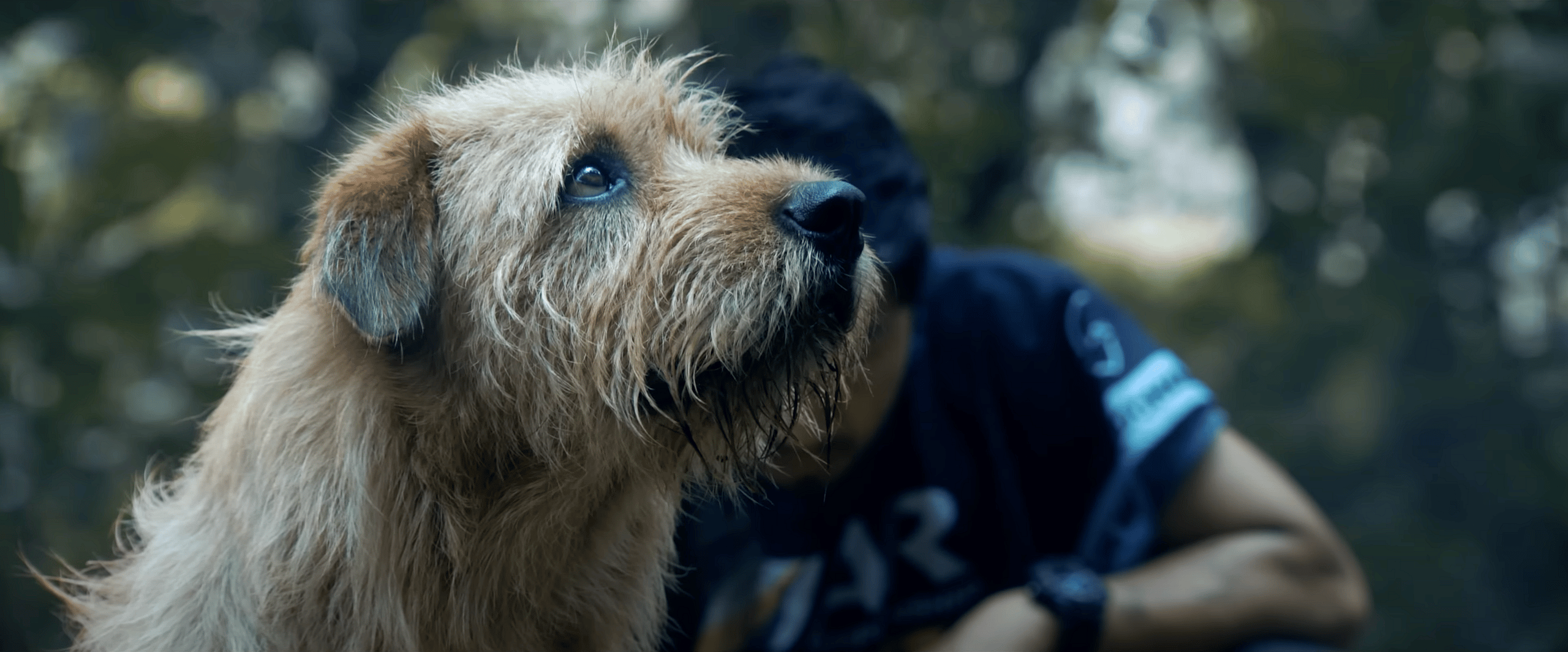 Ukai as Arthur in Arthur the King (2024), Lionsgate