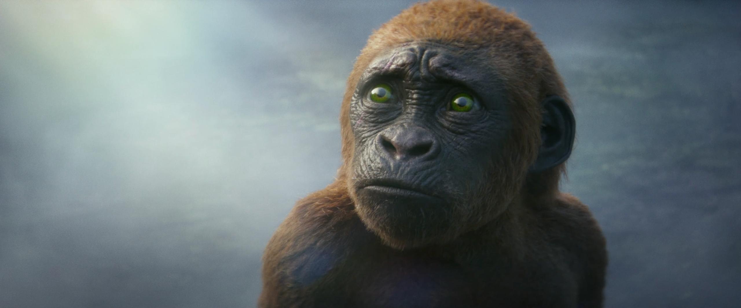 Kong meets his adopted son in Godzilla x Kong: The New Empire (2024), Legendary Pictures