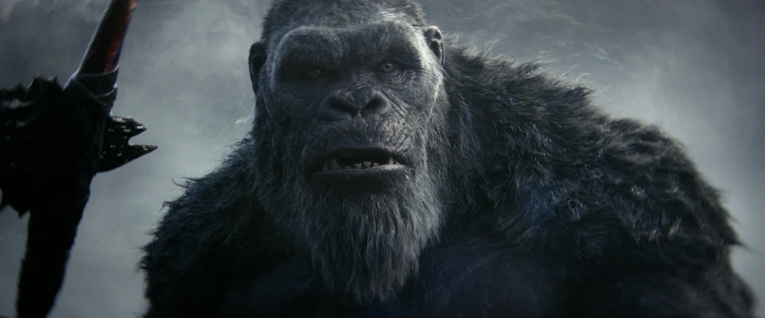 Kong meets his adopted son in Godzilla x Kong: The New Empire (2024), Legendary Pictures