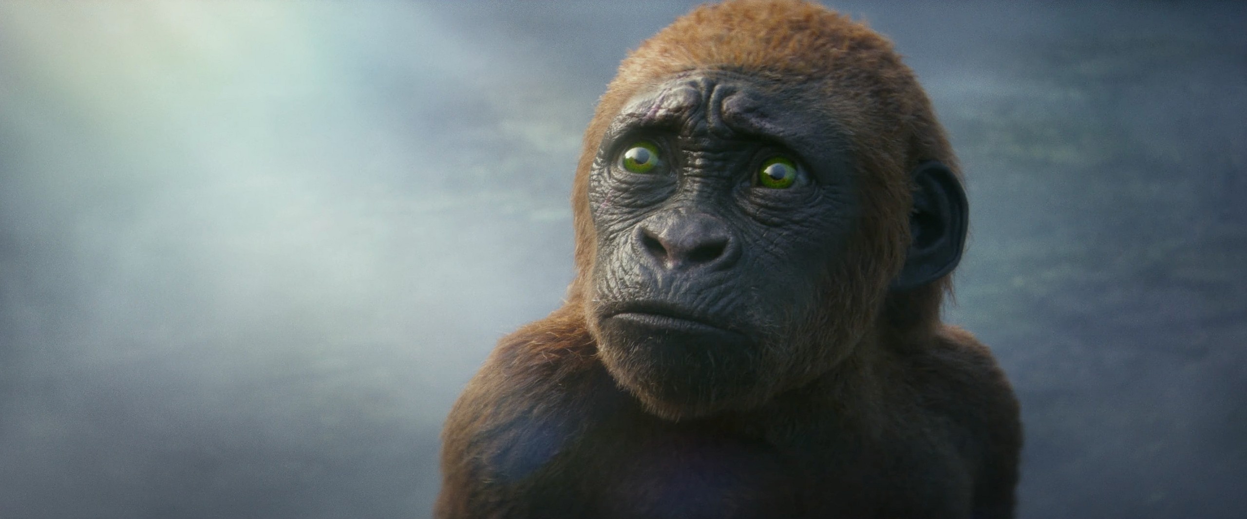 Kong meets his adopted son in Godzilla x Kong: The New Empire (2024), Legendary Pictures